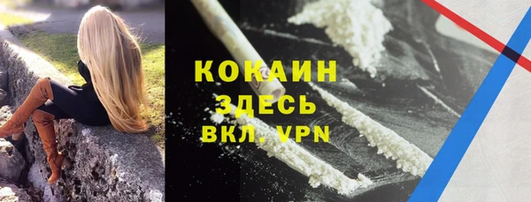 шишки Балахна