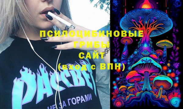 шишки Балахна