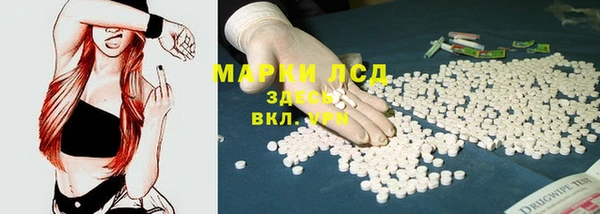 шишки Балахна
