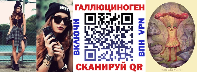 Галлюциногенные грибы Psilocybe Саянск